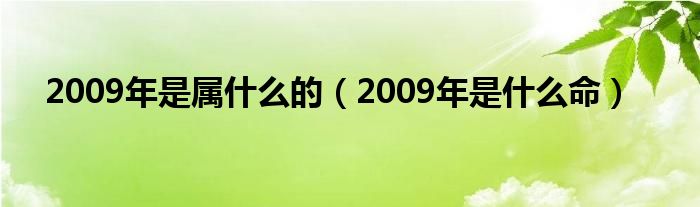 2009年是属是什么的（2009年是是什么命）