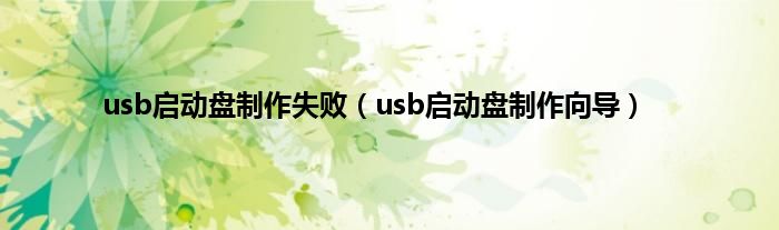 usb启动盘制作失败（usb启动盘制作向导）