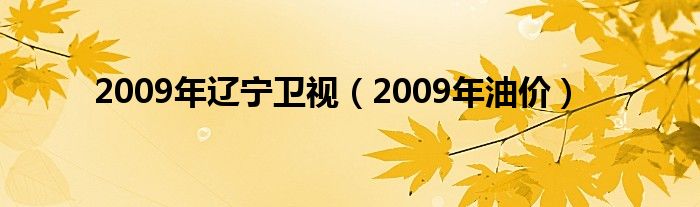 2009年辽宁卫视（2009年油价）