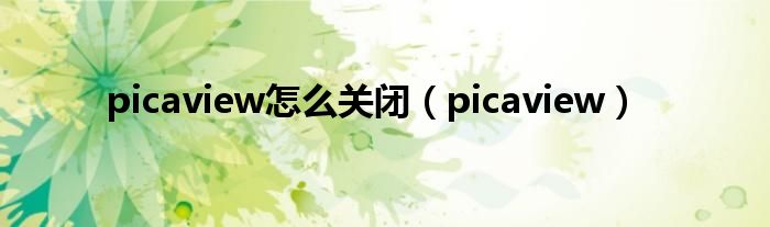 picaview怎么关闭（picaview）