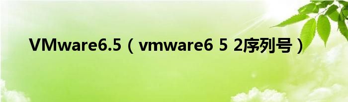 VMware6.5（vmware6 5 2序列号）