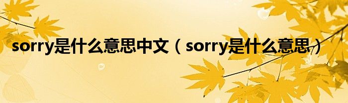 sorry是是什么意思中文（sorry是是什么意思）