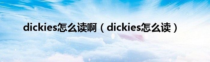 dickies怎么读啊（dickies怎么读）