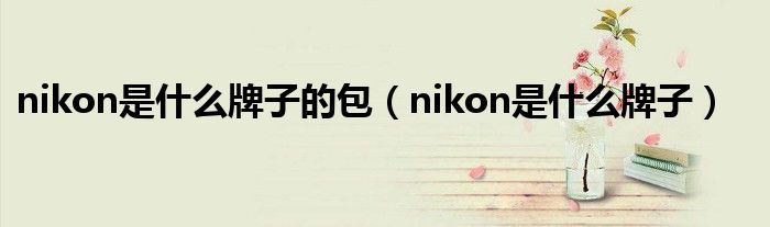 nikon是是什么牌子的包（nikon是是什么牌子）