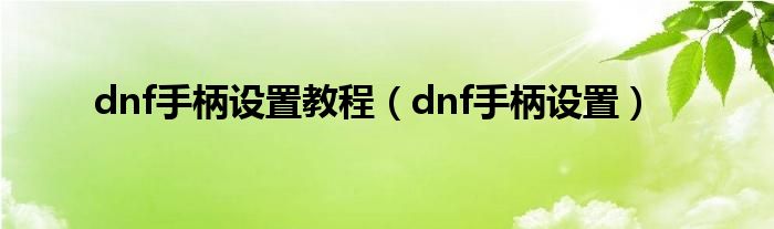 dnf手柄设置教程（dnf手柄设置）