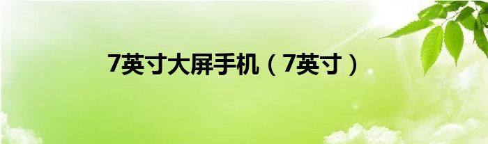 7英寸大屏手机（7英寸）