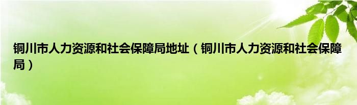 铜川市人力资源和社会保障局地址（铜川市人力资源和社会保障局）