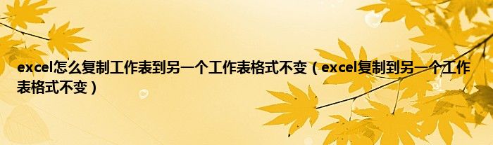 excel怎么复制工作表到另一个工作表格式不变（excel复制到另一个工作表格式不变）