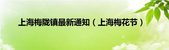 上海梅陇镇最新通知（上海梅花节）