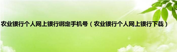 农业银行个人网上银行绑定手机号（农业银行个人网上银行下载）