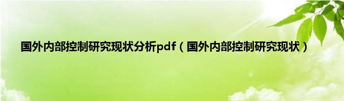 国外内部控制研究现状分析pdf（国外内部控制研究现状）