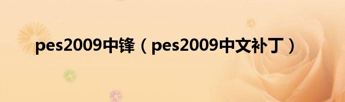 pes2009中锋（pes2009中文补丁）