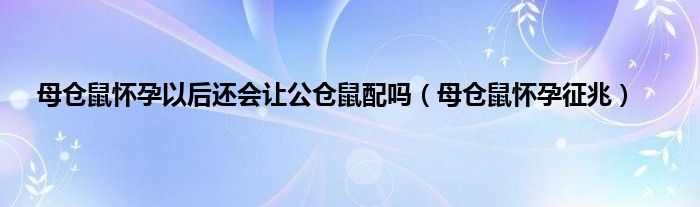 母仓鼠怀孕以后还会让公仓鼠配吗（母仓鼠怀孕征兆）