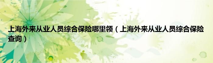 上海外来从业人员综合保险哪里领（上海外来从业人员综合保险查询）