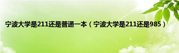 宁波大学是211还是普通一本（宁波大学是211还是985）