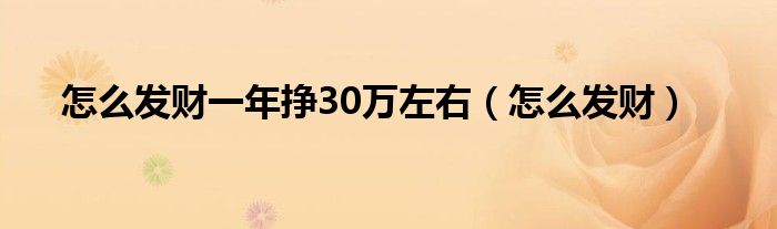 怎么发财一年挣30万左右（怎么发财）