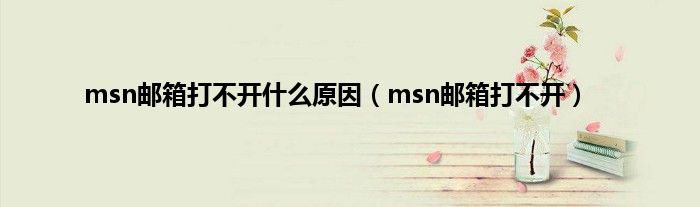 msn邮箱打不开是什么原因（msn邮箱打不开）