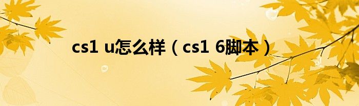 cs1 u怎么样（cs1 6脚本）