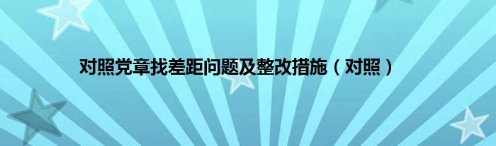 对照党章找差距问题及整改措施（对照）