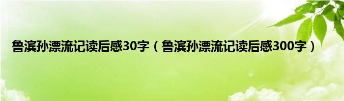 鲁滨孙漂流记读后感30字（鲁滨孙漂流记读后感300字）