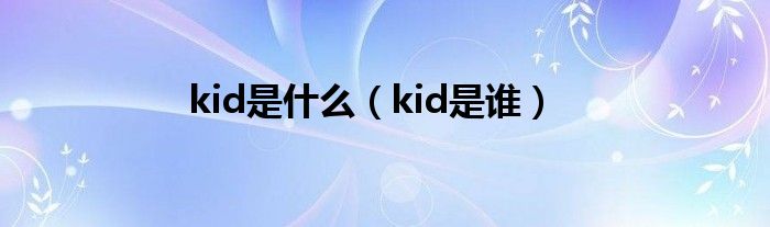 kid是是什么（kid是谁）