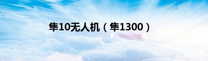 隼10无人机（隼1300）