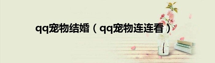 qq宠物结婚（qq宠物连连看）