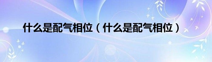 是什么是配气相位（是什么是配气相位）