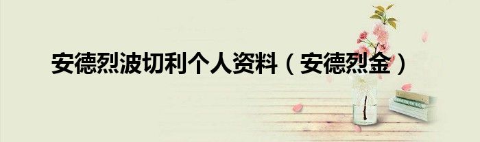 安德烈波切利个人资料（安德烈金）