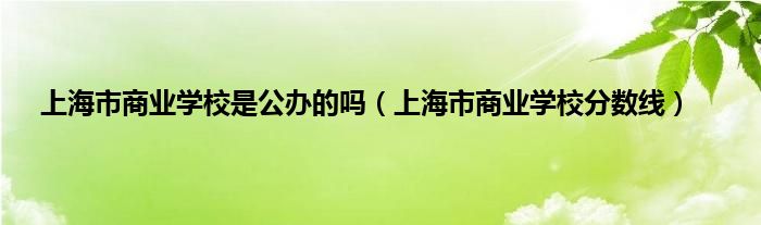 上海市商业学校是公办的吗（上海市商业学校分数线）