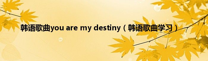 韩语歌曲you are my destiny（韩语歌曲学习）