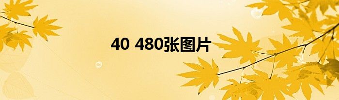 40 480张图片