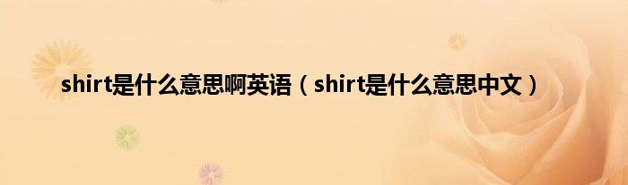 shirt是是什么意思啊英语（shirt是是什么意思中文）