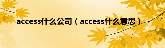 access是什么公司（access是什么意思）