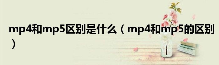 mp4和mp5区别是是什么（mp4和mp5的区别）