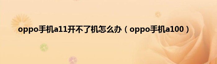 oppo手机a11开不了机怎么办（oppo手机a100）