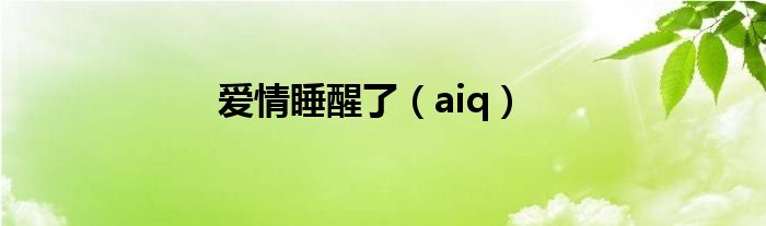 爱情睡醒了（aiq）