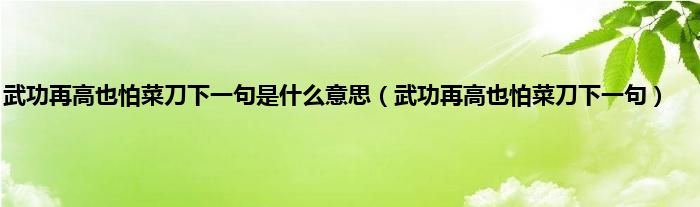 武功再高也怕菜刀下一句是是什么意思（武功再高也怕菜刀下一句）