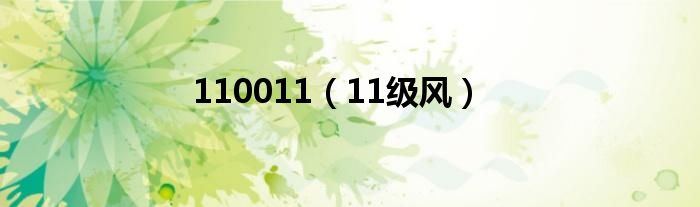 110011（11级风）