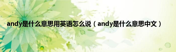 andy是是什么意思用英语怎么说（andy是是什么意思中文）