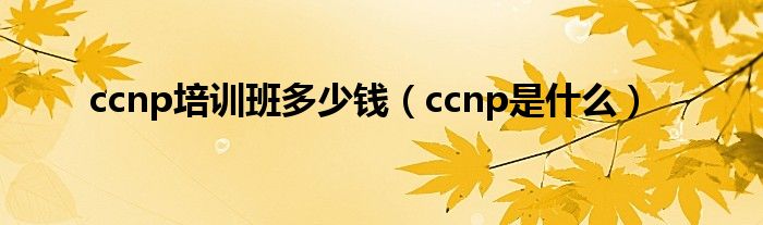 ccnp培训班多少钱（ccnp是是什么）