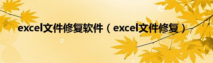 excel文件修复软件（excel文件修复）