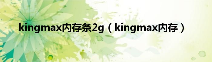 kingmax内存条2g（kingmax内存）