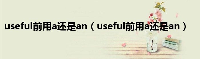 useful前用a还是an（useful前用a还是an）