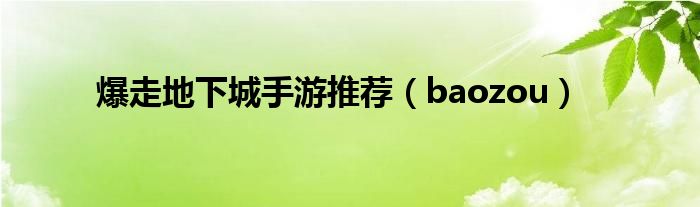 爆走地下城手游推荐（baozou）