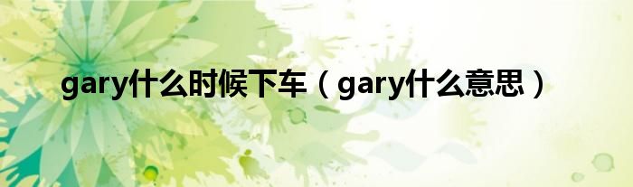 gary是什么时候下车（gary是什么意思）