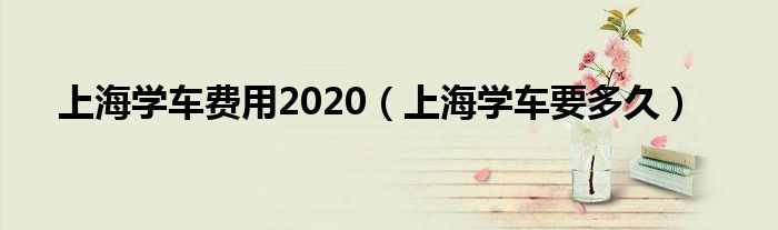 上海学车费用2020（上海学车要多久）