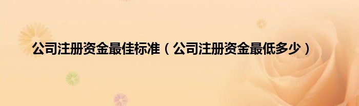 公司注册资金最佳标准（公司注册资金最低多少）