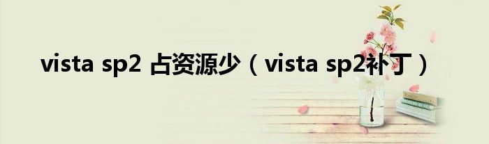 vista sp2 占资源少（vista sp2补丁）