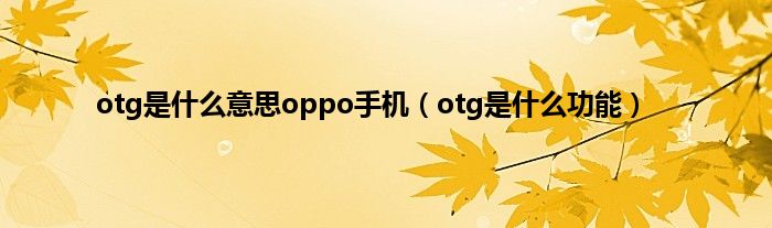 otg是是什么意思oppo手机（otg是是什么功能）